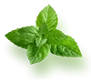 shape-img